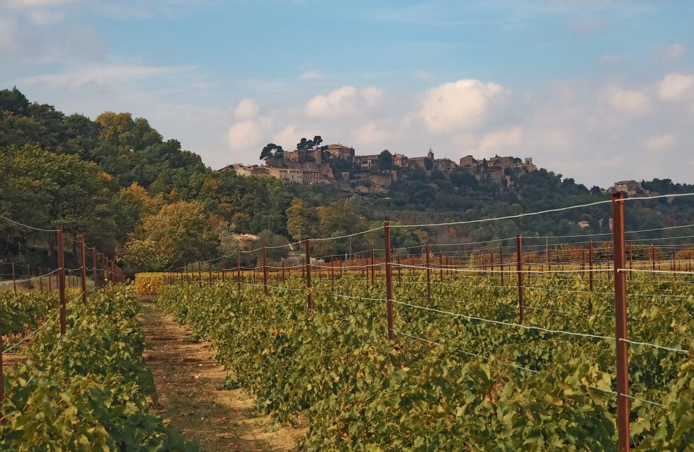 La Provence et ses terres utiles à notre gastronomie  Absoluvins